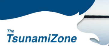 tsunami zone logo